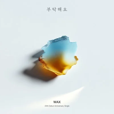 왁스(WAX) - 부탁해요 앨범 커버