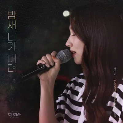 케이시 - 밤새 니가 내려 앨범 커버