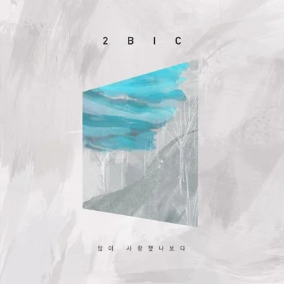 투빅(2BiC) - 많이 사랑했나 보다 앨범 커버