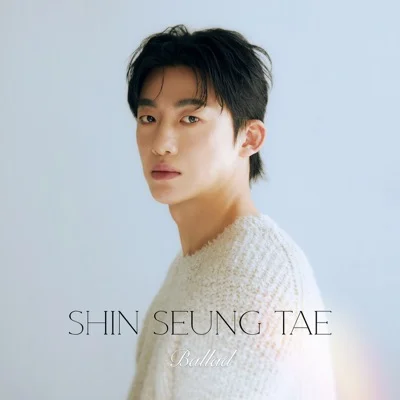 신승태 - 사랑의마지막에이별이숨어있다면 앨범 커버