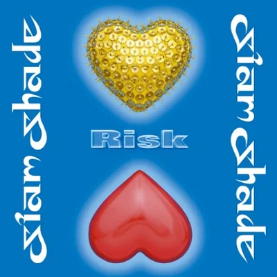 샴 셰이드 - RISK 앨범 커버