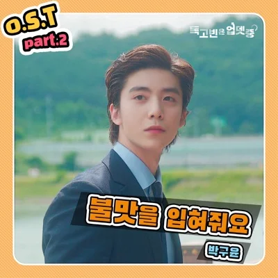 박구윤 - 불맛을입혀줘요(독고빈은업뎃중OST) 앨범 커버