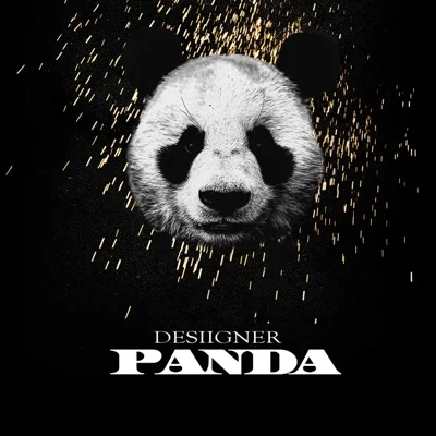 DESIIGNER - PANDA 앨범 커버