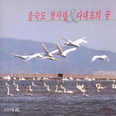 최유나 - 을숙도 첫사랑 앨범 커버