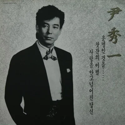 윤수일 - 사랑을 안고 넘어진 당신 앨범 커버