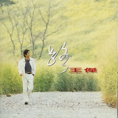 王杰 - 心醉 앨범 커버