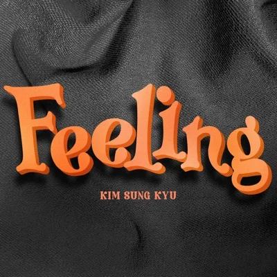 김성규 - Feeling 앨범 커버