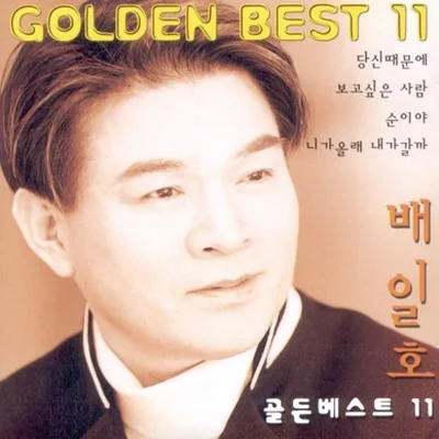 배일호 - 순이야 앨범 커버