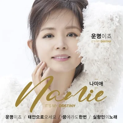 나미애 - 꿈에라도한번 앨범 커버