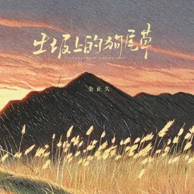 土坡上的狗尾草