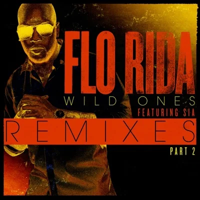 Flo Rida(Feat.Sia) - Wild Ones 앨범 커버