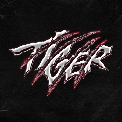 더보이즈 - Tiger 앨범 커버