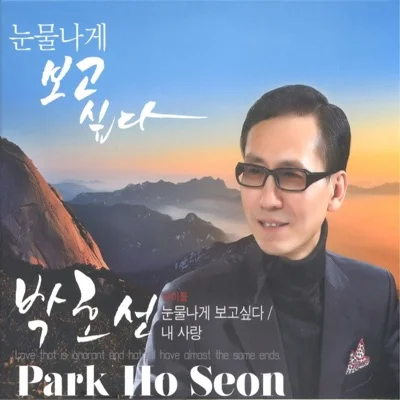 박호선 - 눈물나게보고싶다 앨범 커버