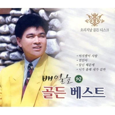 배일호 - 바람따라 구름따라 앨범 커버