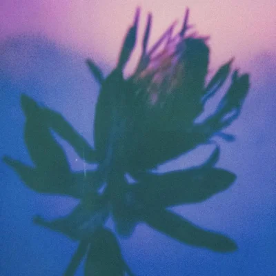 박원 - 자격 앨범 커버
