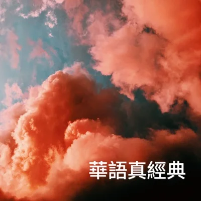 齐秦 - 北方的狼 앨범 커버