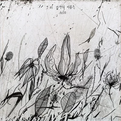 닐로 - 이 감정의 이름은 앨범 커버