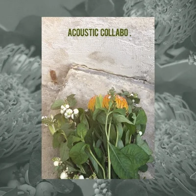 어쿠스틱 콜라보(Acoustic Collabo) - 널 좋아하나 봐 앨범 커버