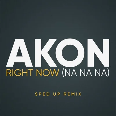 Akon - Right Now(Na Na Na) 앨범 커버