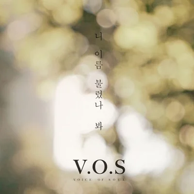 V.O.S - 니이름불렀나봐 앨범 커버