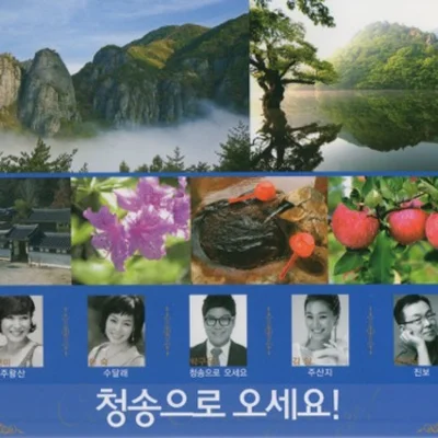 주현미 - 주왕산 앨범 커버