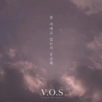 V.O.S - 잘지내고있는지궁금해 앨범 커버