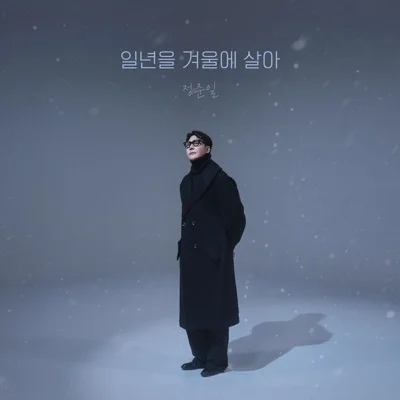 정준일 - 일년을겨울에살아 앨범 커버