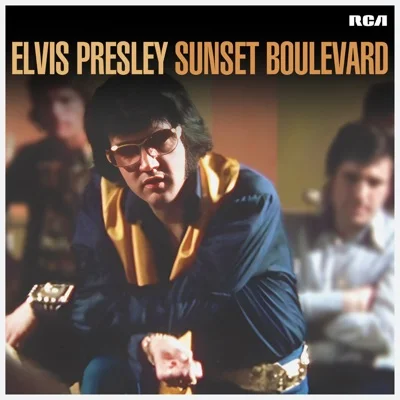 Elvis Presley - You Don't Have To Say You Love Me 앨범 커버