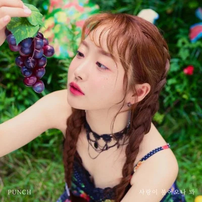 펀치 - 사랑이 불어오나 봐 앨범 커버