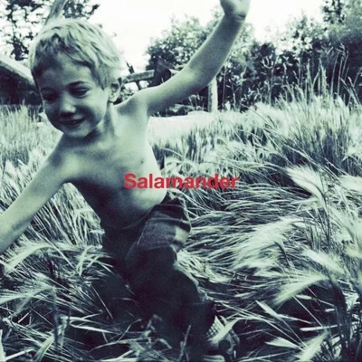 엘르가든 - Salamander 앨범 커버