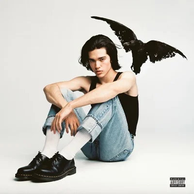 Conan Gray - Maniac 앨범 커버