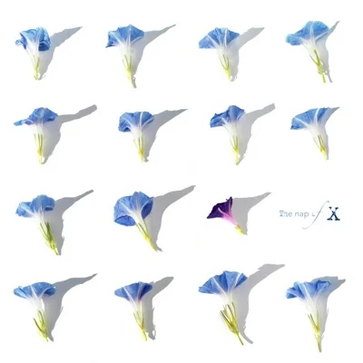 알레프(ALEPH) - X의낮잠 앨범 커버