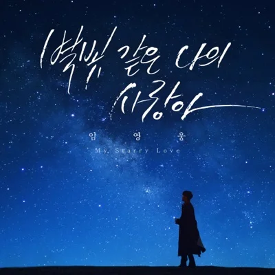 임영웅 - 별빛 같은 나의 사랑아 앨범 커버