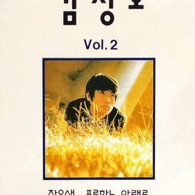김정호 - 외기러기 앨범 커버