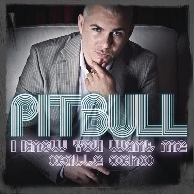 Pitbull - I Know You Want Me (Calle Ocho) 앨범 커버