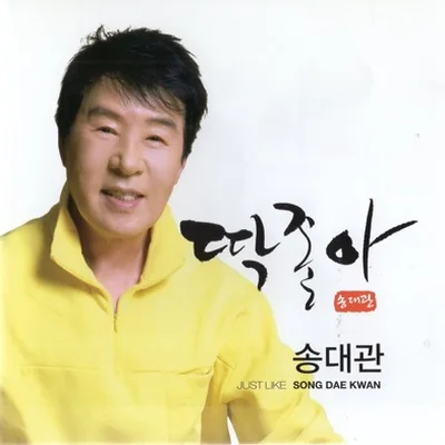 송대관 - 딱 좋아 앨범 커버