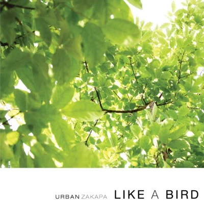 어반자카파 - Like A Bird 앨범 커버