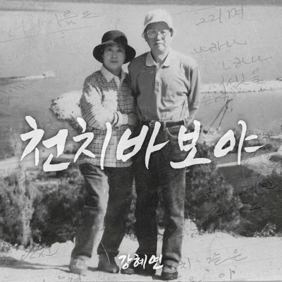 강혜연 - 천치바보야 앨범 커버