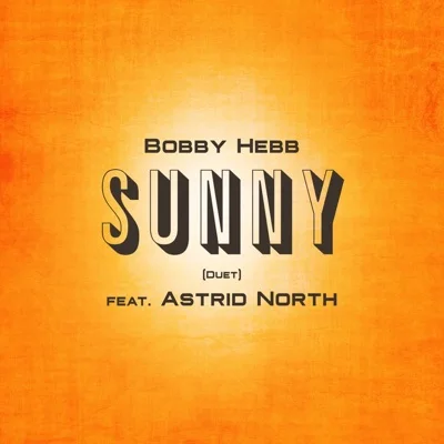 Bobby Hebb - Sunny 앨범 커버
