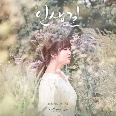 정미애 - 인생길 앨범 커버