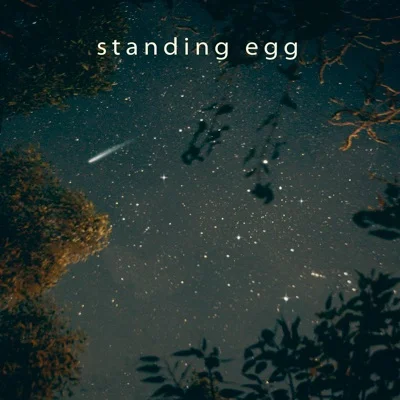 스탠딩 에그(Standing Egg) - Starry Night 앨범 커버