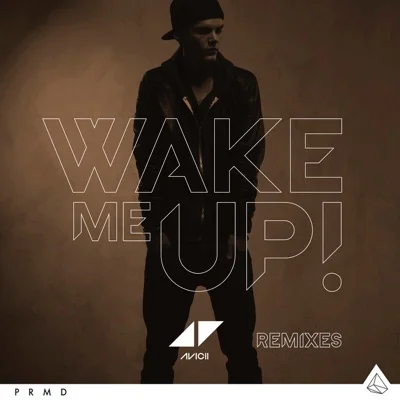 Avicii(아비치) - Wake Me Up (Radio Edit) 앨범 커버