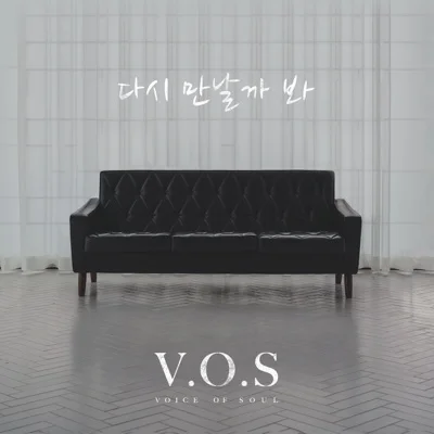 V.O.S - 다시만날까봐 앨범 커버