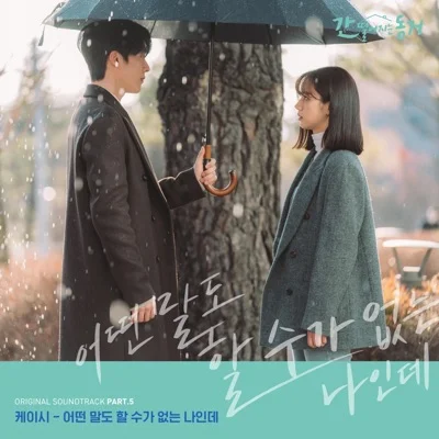 케이시 - 어떤 말도 할 수가 없는 나인데(드라마"간 떨..") 앨범 커버