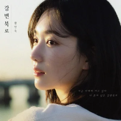 황인욱 - 강변북로 앨범 커버