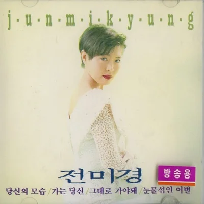 전미경 - 당신의모습 앨범 커버