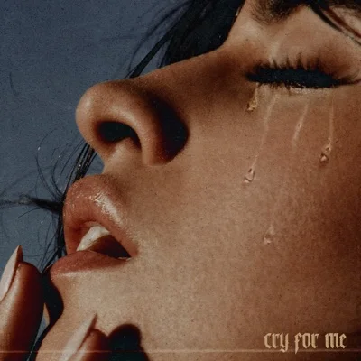 Camila Cabello - Cry for Me 앨범 커버