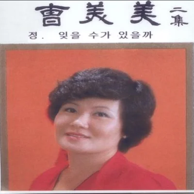 조미미 - 산장의 여인 앨범 커버