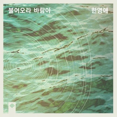 한영애 - 창밖에서있는너는누구 앨범 커버