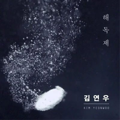 김연우 - 해독제 앨범 커버